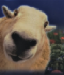 keeswiki - Link zur Startseite